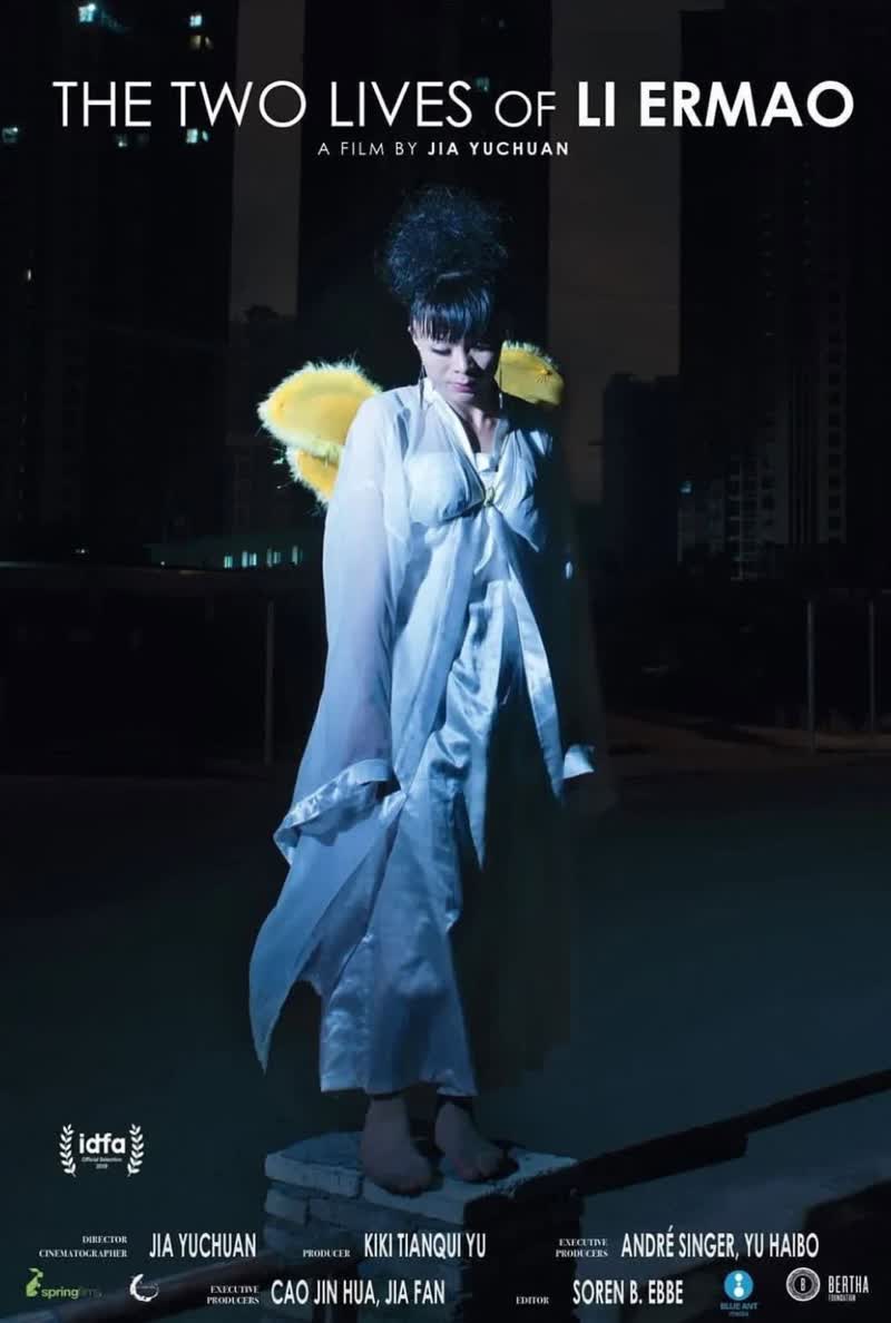 《二毛》封面